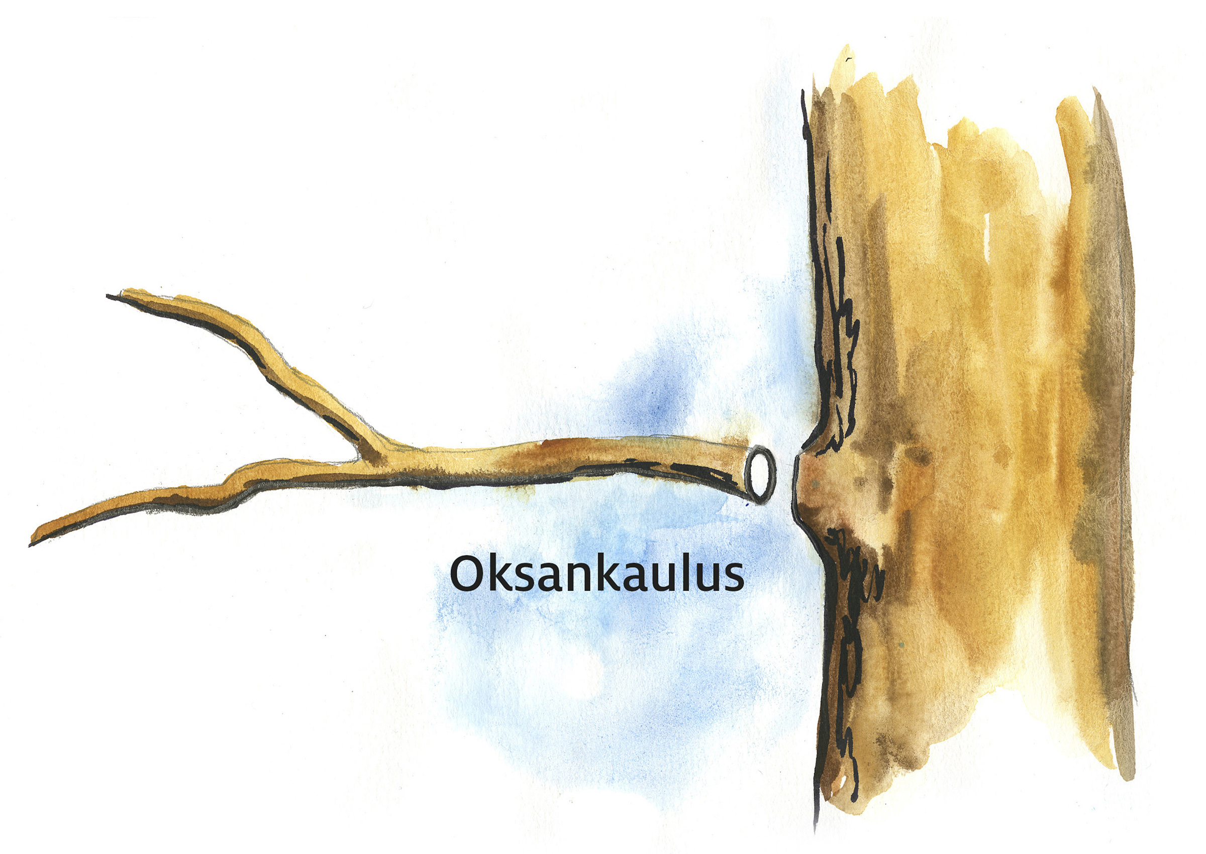 milloin omenapuun leikkaus milloin omenapuun leikkaus